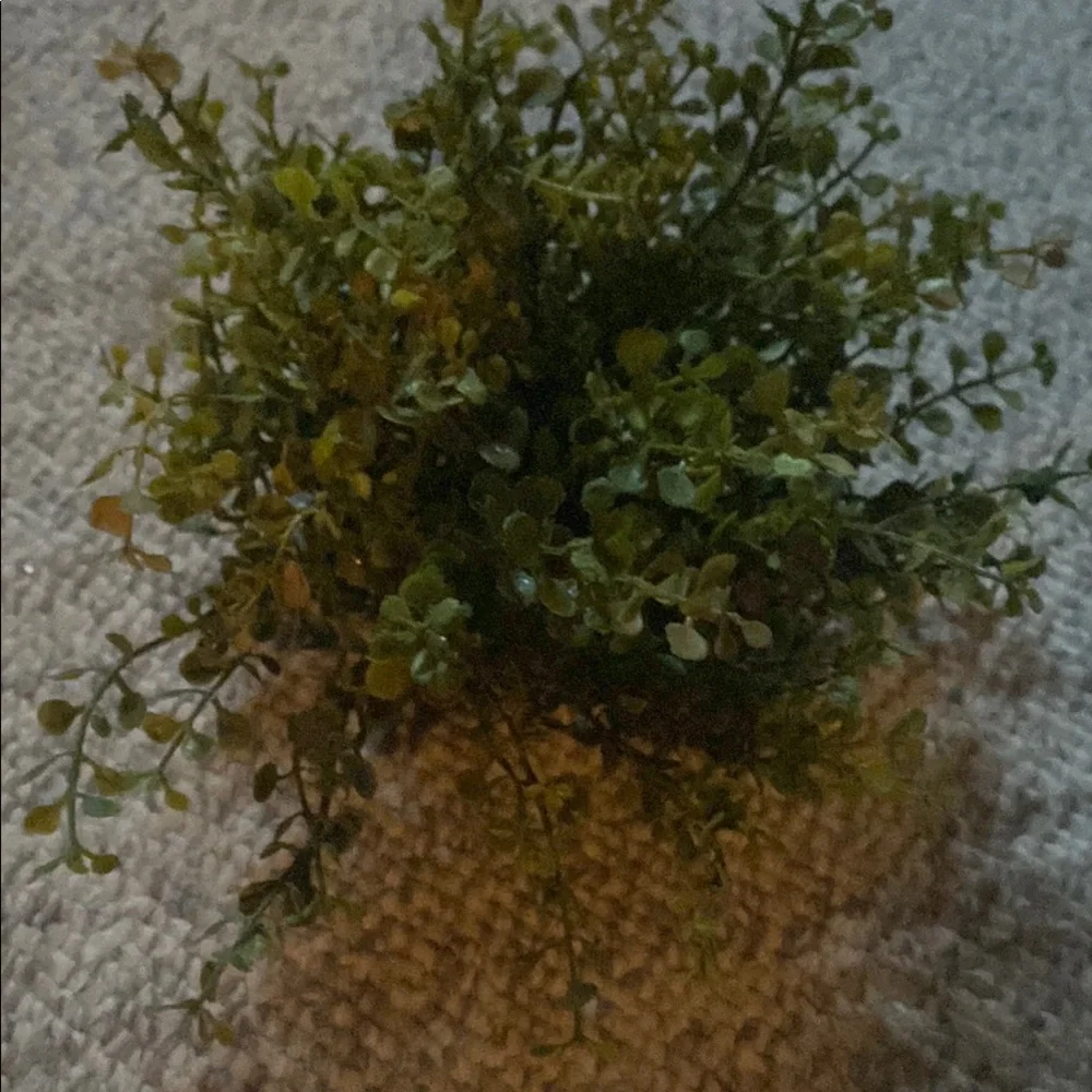 COPY - Green Eucalyptus Faux Floral Accent with Natural Wild-Growing Appearance